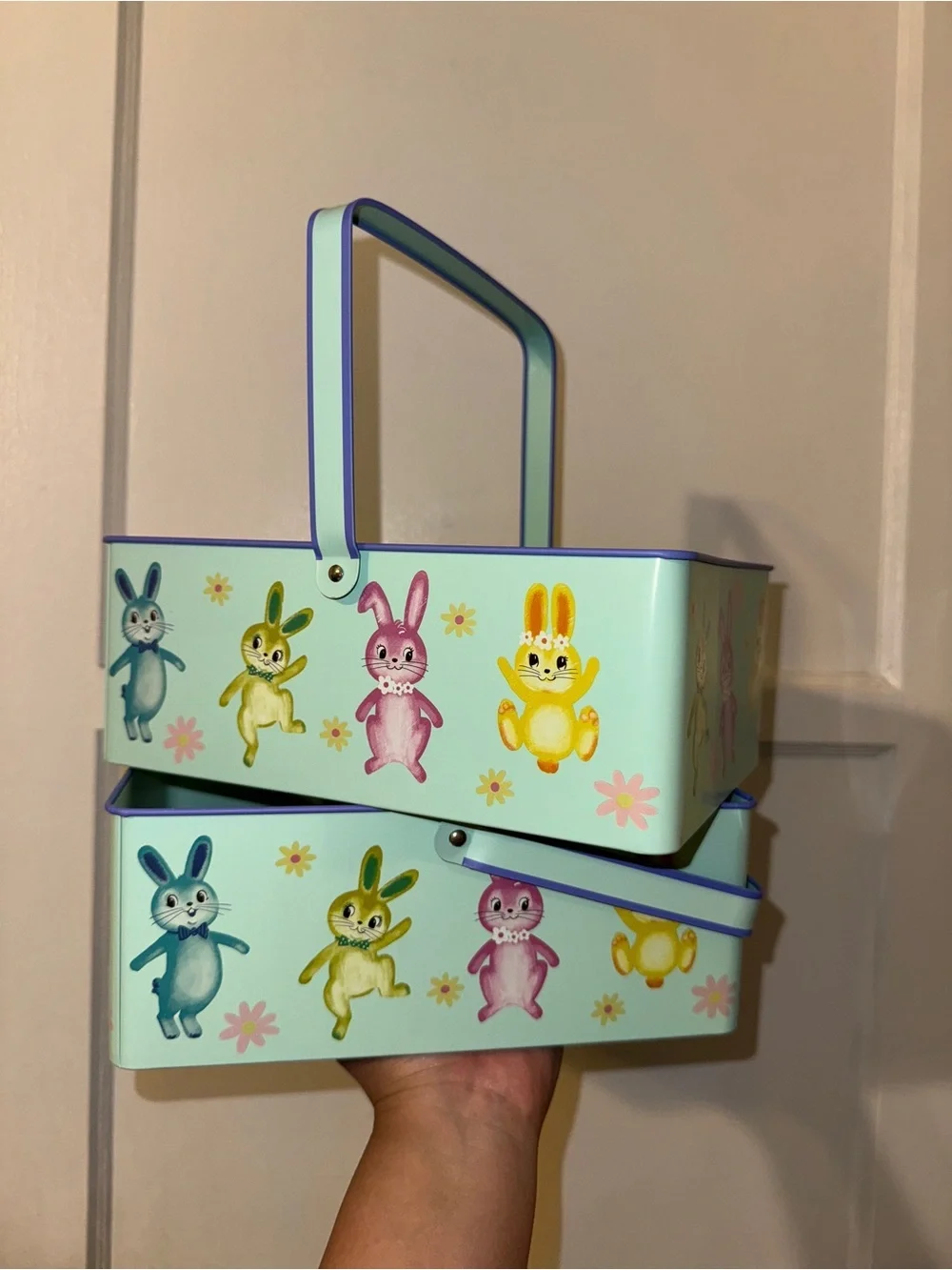 Spritz Easter Bunny Container Baskets